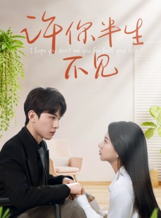 短剧《许你半生不见》51集短剧高清全集在线流畅播放