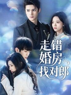 短剧《走错婚房找对郎》50集短剧高清无删减版免费看