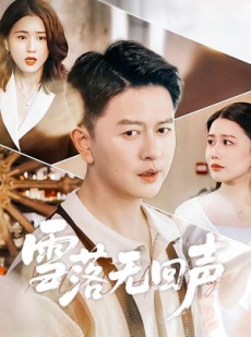 短剧《雪落无回声》60集短剧1080P在线免费观影