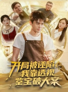 短剧《开局被诬陷，我靠透视鉴宝破大案》82集短剧免费看完整大结局