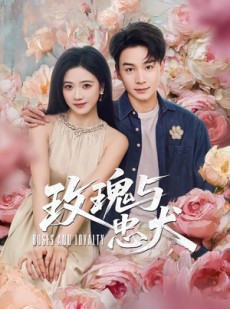 短剧《玫瑰与忠犬》80集短剧全集资源免费在线看