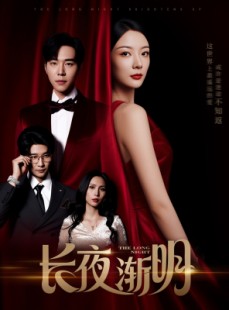 短剧《长夜渐明》43集短剧1080P高清在线观看体验