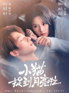 短剧《小猫捉到月亮啦》80集短剧全集在线免费畅看