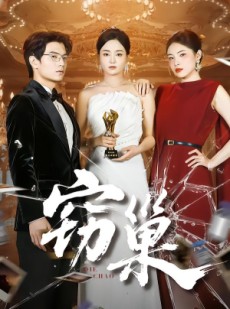 短剧《窃巢》100集短剧全集免费随心看