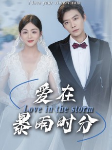 短剧《爱在暴雨时分》55集短剧无广告纯净版在线看