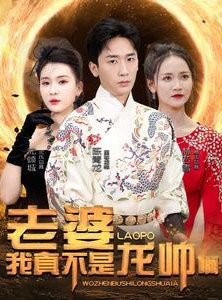 短剧《老婆我真不是龙帅啊》95集短剧全集资源在线免费畅享