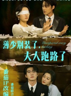 短剧《薄少别装了夫人跑路了》60集短剧1080P高清在线观看