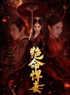 短剧《绝命悍妻》72集短剧超清画质在线追剧