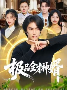 短剧《极品全才神婿》67集短剧在线观看一集不落