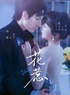 短剧《花惹》70集短剧1080P高清在线看全集