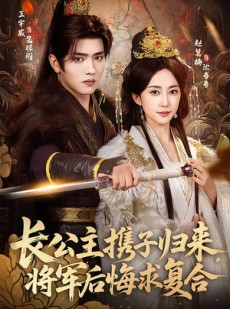 短剧《长公主携子归来，将军后悔求复合》80集短剧完整版免费观看