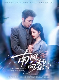 短剧《南风向黎》80集短剧高清流畅在线免费看