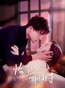 短剧《恰逢承书听雨时》80集短剧无广告版全集欣赏