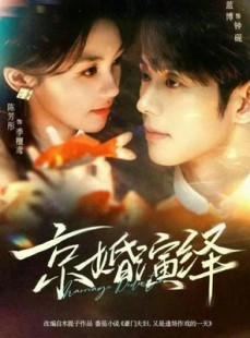 短剧《京婚演绎》60集短剧全集免费在线观看不卡顿