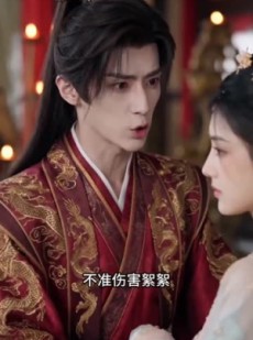 短剧《大理寺卿宠妻，爽炸了》66集短剧完整版免费畅享