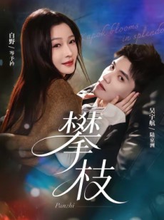 短剧《攀枝》65集短剧在线高清全集速看