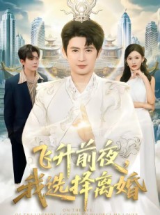 短剧《飞升前夜，我选择离婚》80集短剧高清在线观看无广告