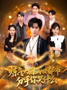 短剧《炼气大圆满回都市分手你哭什么》80集短剧1080P在线免费看