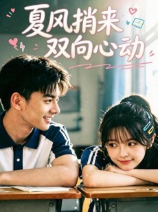 短剧《夏风捎来双向心动》42集短剧高清无广告在线观看