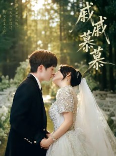 短剧《戚戚慕慕》70集短剧全集在线免费畅快看