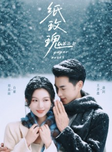 短剧《纸玫瑰第二部》80集短剧在线看完整大结局