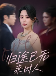 短剧《归途已无来时人》70集短剧超清画质在线追剧
