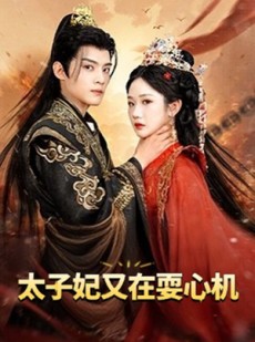 短剧《太子妃又在耍心机》80集短剧高清流畅在线免费看
