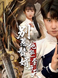 短剧《别惹赘婿，他能一拳开天》67集短剧1080P画质免费看