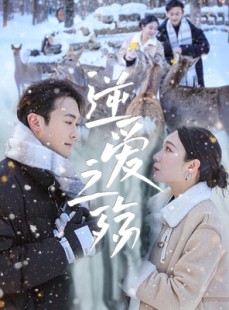 短剧《逆爱之殇》60集短剧全集无删减在线观看