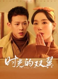 短剧《时光的双翼》94集短剧极速播放通道全集畅享