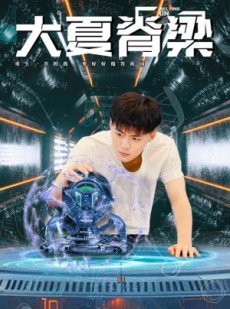 短剧《大夏脊梁》80集短剧高清流畅在线观看