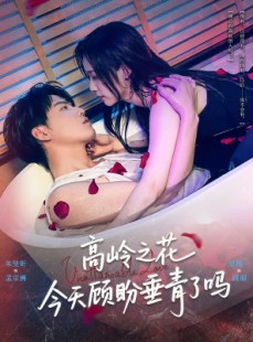 短剧《高岭之花今天顾盼垂青了吗》82集短剧在线免费看完整版