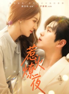 短剧《惹火燎夜》74集短剧全集免费在线观看无删减