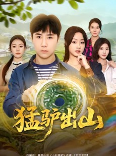 短剧《猛驴出山》80集短剧在线观看无删减版