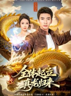 短剧《全体起立，真龙归来》78集短剧1080P高清在线速看