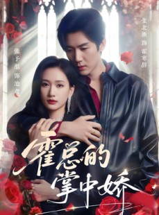 短剧《霍总的掌中娇》80集短剧全集资源VIP免费专享