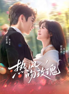 短剧《热风吻玫瑰》66集短剧无广告高清全集观看