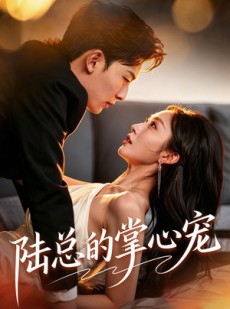 短剧《陆总的掌心宠》85集短剧全集资源免费观看