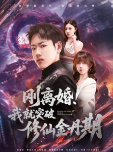 短剧《刚离婚！我就突破修仙金丹期》82集短剧在线免费看全集