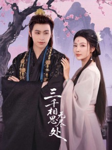 短剧《三千相思无尽处》80集短剧超清画质在线免费品