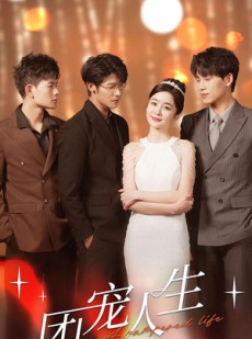 短剧《团宠人生》50集短剧高清流畅在线免费看