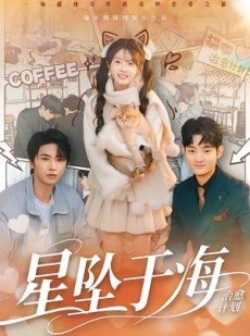 短剧《星坠于海》50集短剧在线观看全集完整无遗漏