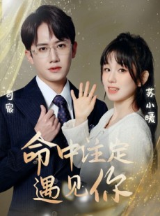 短剧《命中注定遇见你》96集短剧每日更新追剧不停