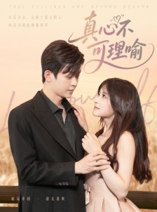 短剧《真心不可理喻》81集短剧全集剧情提前知晓尽在此