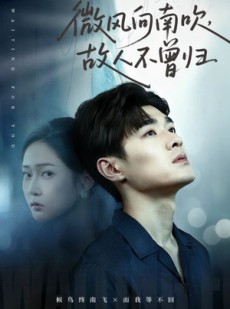 短剧《微风向南吹，故人不曾归》72集短剧1080P画质免费看