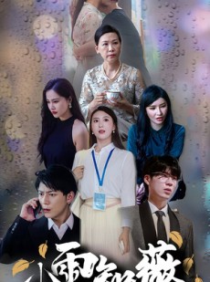 短剧《小雨知薇》80集短剧1080P高清画质在线追