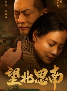 短剧《望北思南》49集短剧全集资源一键解锁观看