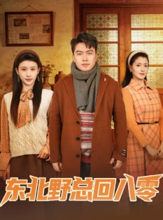 短剧《东北野总回八零》65集短剧在线观看全集无删减