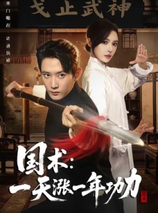 短剧《国术，一天涨一年功力》66集短剧1080P免费在线看