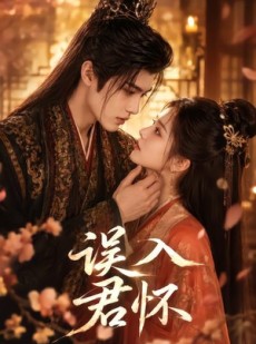 短剧《误入君怀》80集短剧完整版免费畅享观看
